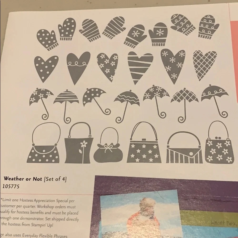 🎭 3/$25 - Stampin Up! Hostess only Weather or Not